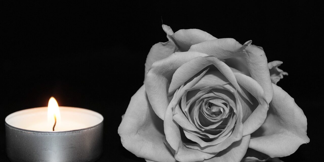 <span class="entry-title-primary">Kilenc meggyilkolt nőből hét vajdasági volt</span> <span class="entry-subtitle">Sokan nem bíznak az intézmények védelmében</span>