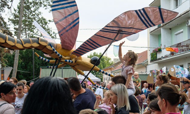 A zentai Tiszavirág Fesztivál képekben