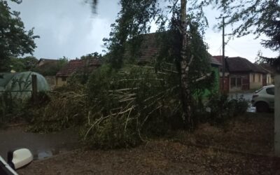 Fákat döntött ki a vihar, több helyen elment az áram