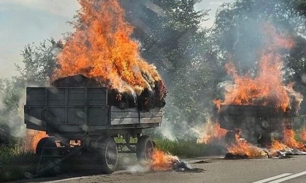 Eldobott csikk miatt gyulladhatott ki a szalma Zsablya határában (Videó)