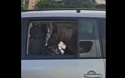 Pónilovat szállított az autójában egy újvidéki