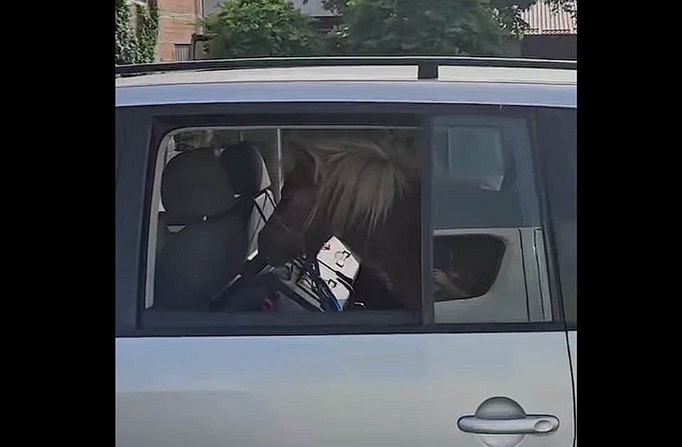 Pónilovat szállított az autójában egy újvidéki