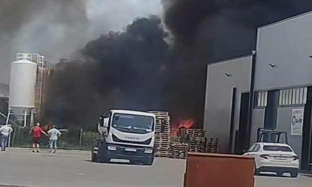 <span class="entry-title-primary">Robbanás és hatalmas tűz Šidben</span> <span class="entry-subtitle">Egy festékgyárban csaptak fel a lángok</span>