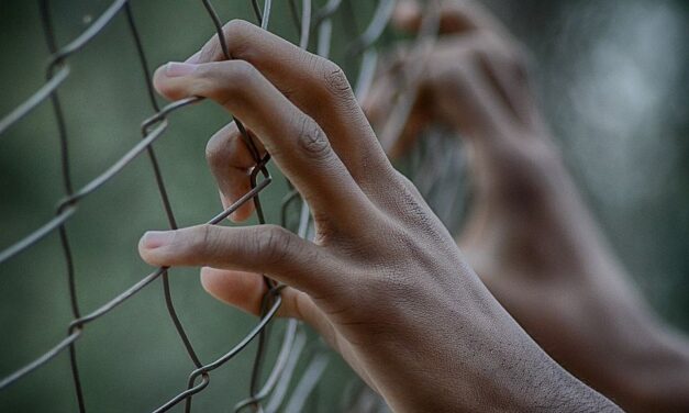 36 százalékkal csökkent az illegális határátlépések száma