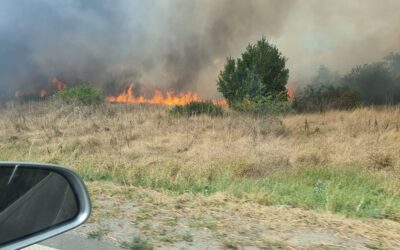 Letartóztatásban a zombori gyújtogató