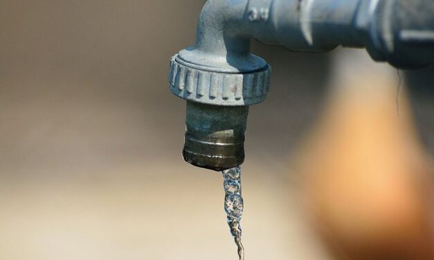 „Az újvidéki városvezetés megint becsapta a polgárokat a vízminőségről”