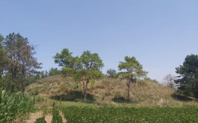 Ötzi, a jégember kortársának nyomaira lelhettek Óbecsénél? Családi Kör (2024. augusztus 15.) – lapszemle