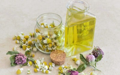 Gyógynövény- és aromaterápia: egészségmegőrzés a természet erejével