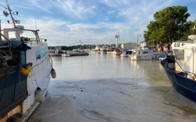 Csalódottak a turisták Isztrián