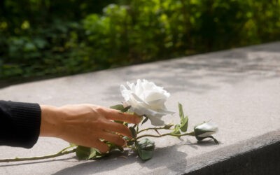 Üzleti park és modern piactér épül az ártatlan áldozatok tömegsírjára