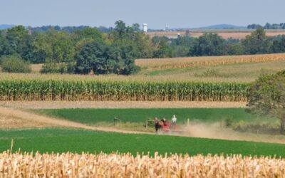 Katasztrofális a helyzet a mezőgazdaságban, készek utcára vonulni a gazdák