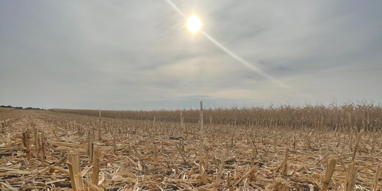 Az „érintetlen természet” csupán mítosz