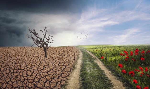 A múlt hónap volt a valaha mért legmelegebb, egyben legszárazabb június