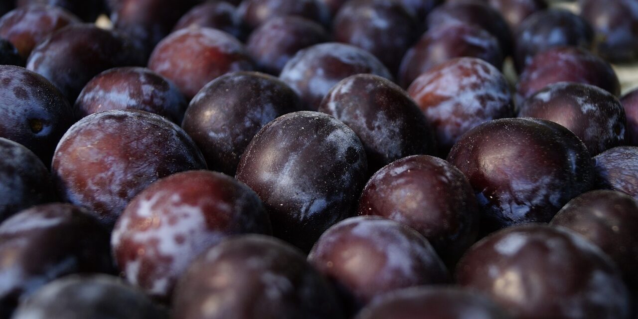 Szerbiai szilvát hívtak vissza a szlovén piacról a magas rovarölő méreg tartalma miatt