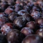 Karleuša annyit kap a fellépéséért, amennyiért egy szilvaszedő 800 napot dolgozna