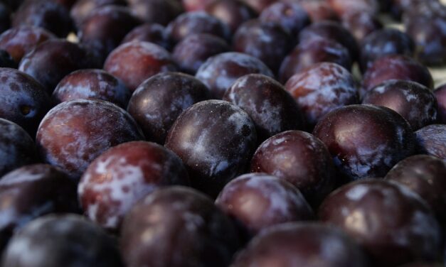 Szerbiai szilvát hívtak vissza a szlovén piacról a magas rovarölő méreg tartalma miatt