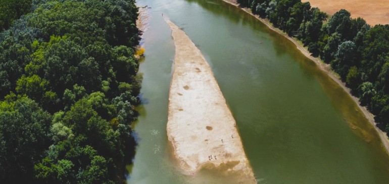 Újra felbukkant a Tisza különleges szigete