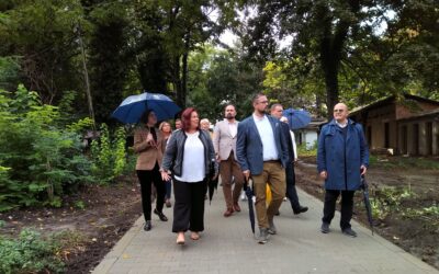 Tizenöt hónap után már sokkal rendezettebb a palicsi üdülőtelep