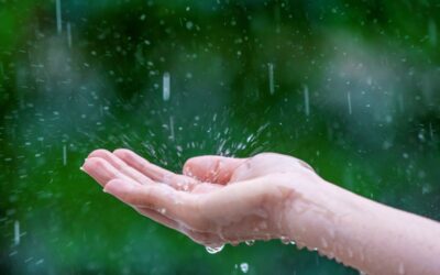 Felhős, csapadékos, de enyhébb napok következnek