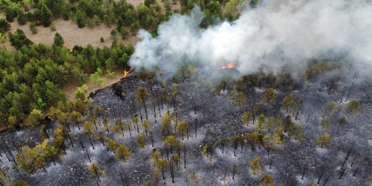 Hatszázhúsz helyen volt tűz egyetlen nap alatt az országban