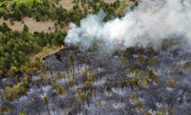 Hatszázhúsz helyen volt tűz egyetlen nap alatt az országban