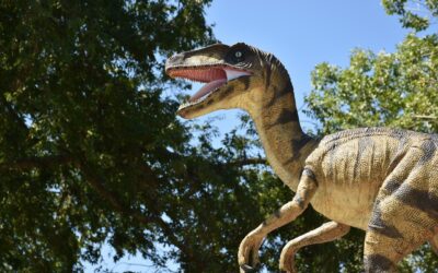 Magyar kutatók új dinoszauruszfajok maradványait fedezték fel Erdélyben
