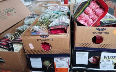 A vámosok megszámolták: A bejelentettnél jóval több virág volt a kamionban (Fotók)