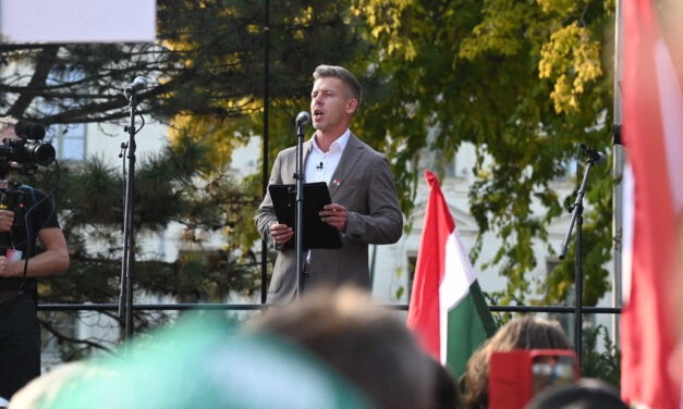 Magyar Péter megszavaztatja, hogy EP képviselő maradjon-e