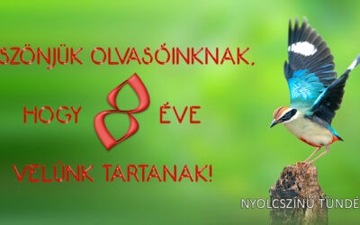 Nyolcszínű szabad madárral köszöntjük olvasóinkat A szépséges tündérpitta a jelképünk a Szabad Magyar Szó idei évfordulóján
