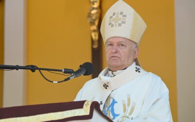 Német László: XIV. Leó továbbviszi Ferenc hagyatékát