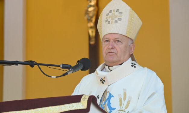 Német László: XIV. Leó továbbviszi Ferenc hagyatékát