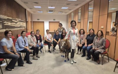 Több mint konferencia „Az egyetlen igazi tanulás: a lényünkben szunnyadó tudásnak tevékennyé ébresztése.” (Weöres Sándor)