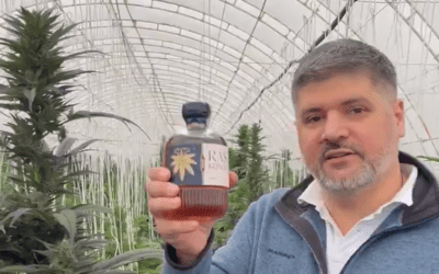 Koluvija visszavonta a BIRN elleni keresetét