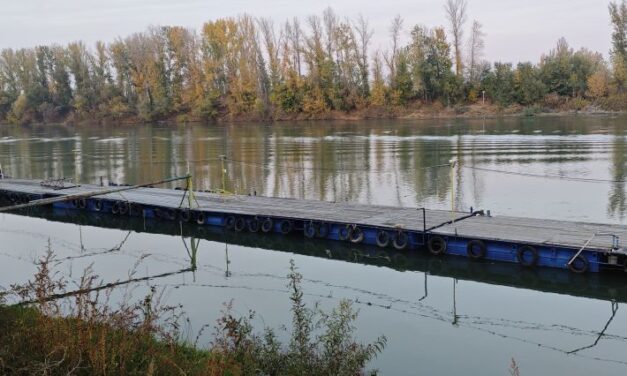<span class="entry-title-primary">A szakértők nem javasolják a Tisza vizében való fürdést</span> <span class="entry-subtitle">Nem szennyezés, a hőség okozta a folyóban a rendkívüli állapotot és a halpusztulást - Július 8-án újabb mintavétel várható</span>