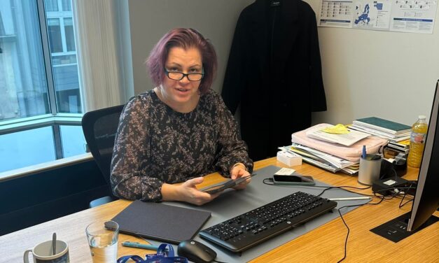 Vicsek Annamária vagyonnyilatkozata is megtekinthető