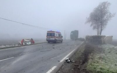 Hatalmas jószívűségről tettek tanúbizonyságot a szabadkaiak