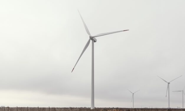 Kínai kézbe kerülhet a Szabadkán szélgenerátorokat gyártó Flender?