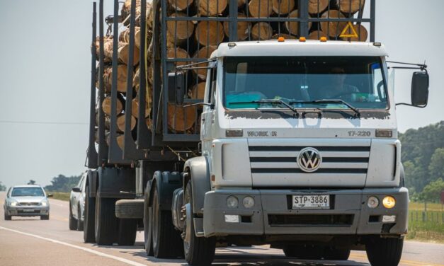 Kamiont 17 évesek is vezethetnek majd