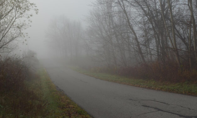 Nehézfémeket lélegzünk be, Szabadkán is borzasztó a levegő minősége