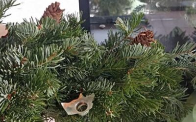 Lelopták a díszeket és megrongálták a zentaiak adventi koszorúját