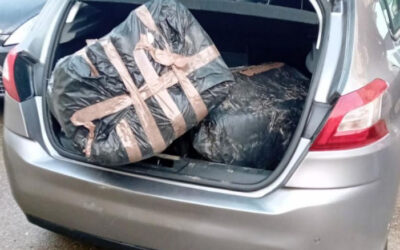 Negyven kiló marihuánával kapták el a bácsit