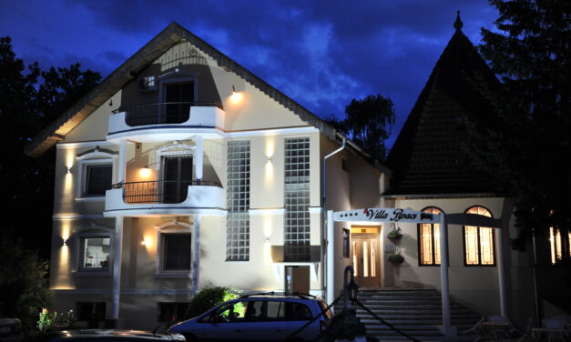 <span class="entry-title-primary">Van kinek átadni a stafétabotot</span> <span class="entry-subtitle">Egy kávé a feketicsi Pipacs tulajdonosnőjével</span>