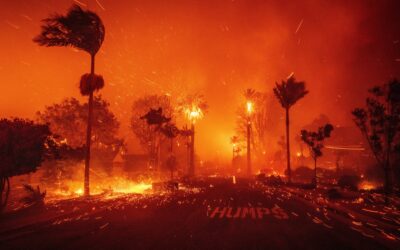 Elfogták a Los Angeles-i gyújtogatás gyanúsítottját