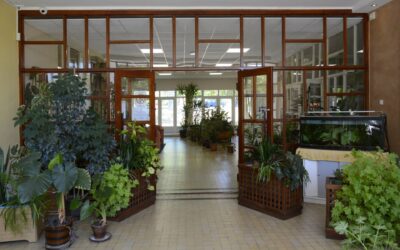 Csütörtöktől diákblokád a topolyai Gimnáziumban és Közgazdasági Középiskolában