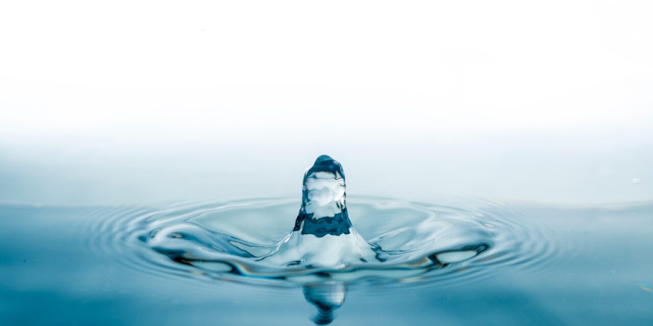 A víz feladatai az emberi szervezetben