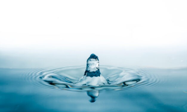 A víz feladatai az emberi szervezetben