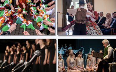 Vajdasági amatőr művészek is pályázathatnak a TehetségPaletta Programra