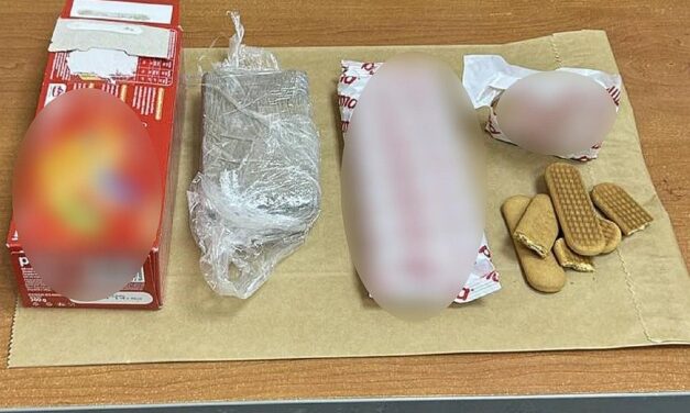 Plazmakekszes dobozban csempészett volna heroint Kelebiánál