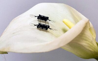 Jöhetnek a robotméhek