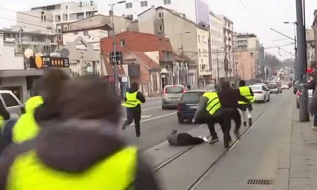 Ivanka Popović: A belgrádi eset az erőszak kultúrájának eredménye, amelyet a Szerb Haladó Párt ápol